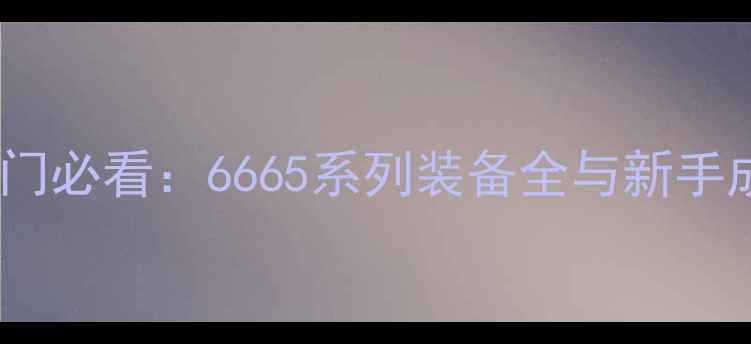 图片 羽毛球入门必看：6665系列装备全与新手成长指南1