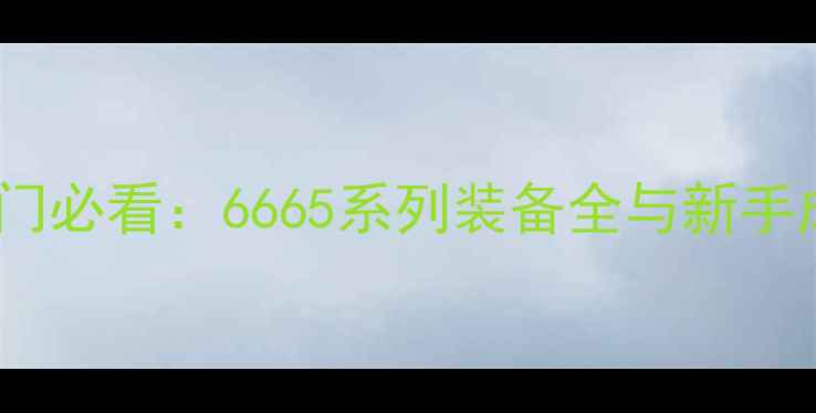 图片 羽毛球入门必看：6665系列装备全与新手成长指南2