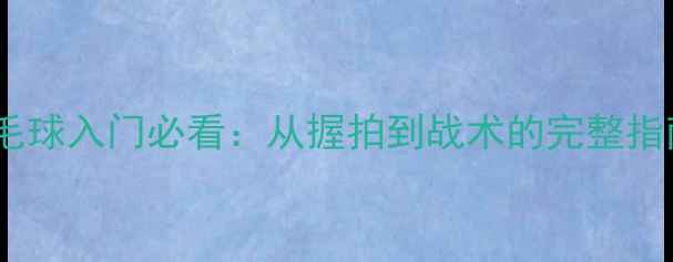 图片 羽毛球入门必看：从握拍到战术的完整指南2