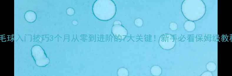 图片 羽毛球入门技巧3个月从零到进阶的7大关键！新手必看保姆级教程2