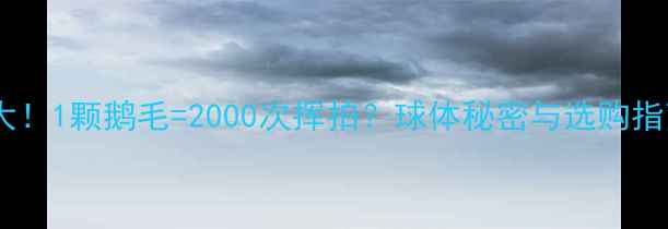图片 羽毛球内部构造大！1颗鹅毛=2000次挥拍？球体秘密与选购指南（附DIY教程）