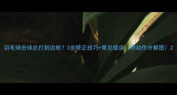 图片 羽毛球击球总打到边框？3步矫正技巧+常见错误（附动作分解图）2