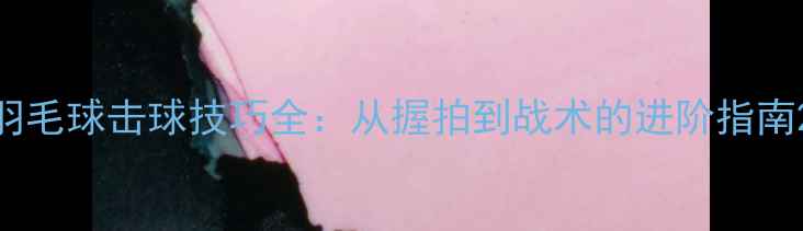 图片 羽毛球击球技巧全：从握拍到战术的进阶指南2