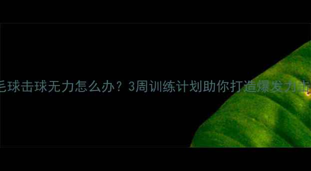图片 羽毛球击球无力怎么办？3周训练计划助你打造爆发力击球2