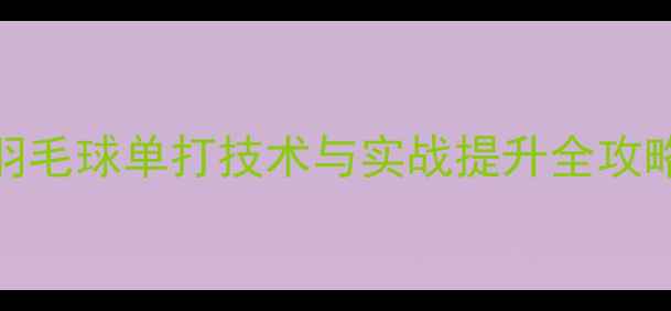 图片 羽毛球单打技术与实战提升全攻略