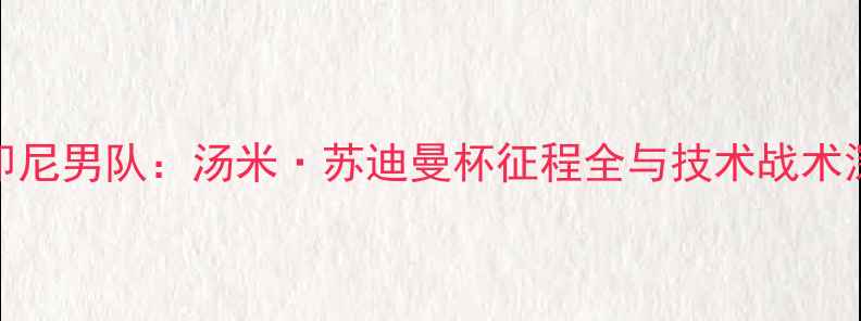 图片 羽毛球印尼男队：汤米·苏迪曼杯征程全与技术战术深度剖析