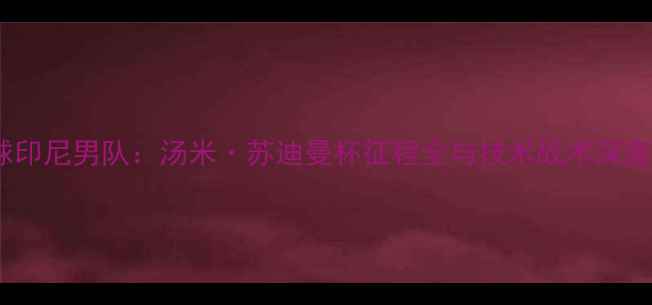 图片 羽毛球印尼男队：汤米·苏迪曼杯征程全与技术战术深度剖析1