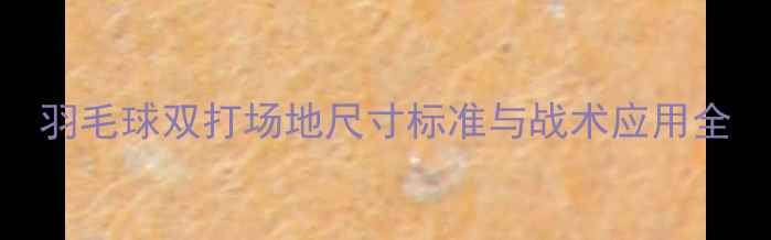 图片 羽毛球双打场地尺寸标准与战术应用全