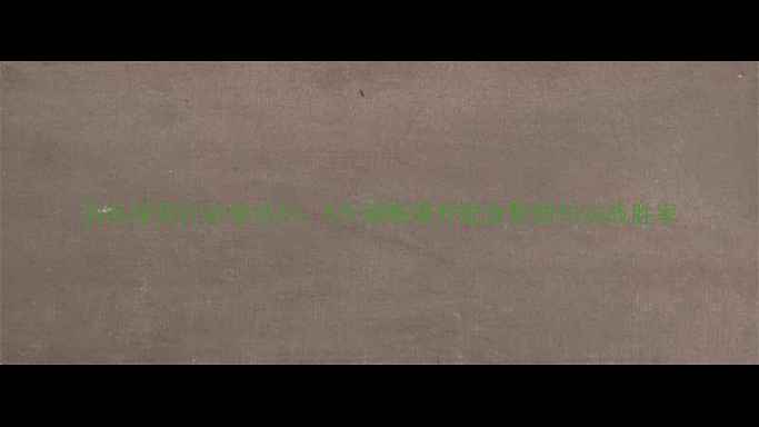 图片 羽毛球双打必学技巧：5大策略提升配合默契与实战胜率