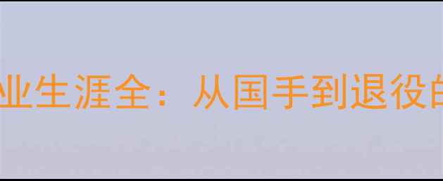 图片 羽毛球名将于洋职业生涯全：从国手到退役的技术与人生进阶1