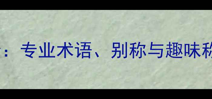 图片 羽毛球名称全：专业术语、别称与趣味称呼一网打尽1