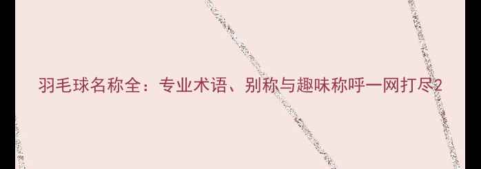 图片 羽毛球名称全：专业术语、别称与趣味称呼一网打尽2