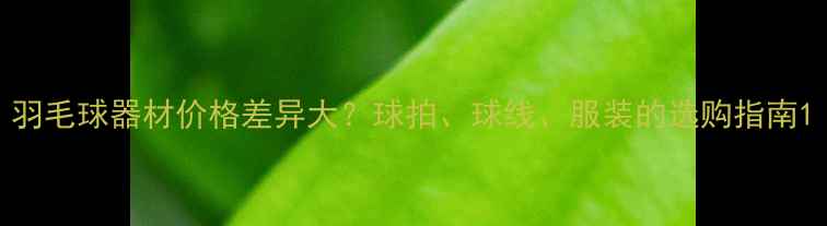 图片 羽毛球器材价格差异大？球拍、球线、服装的选购指南1