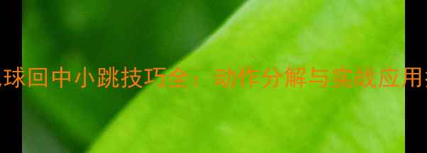 图片 羽毛球回中小跳技巧全：动作分解与实战应用指南