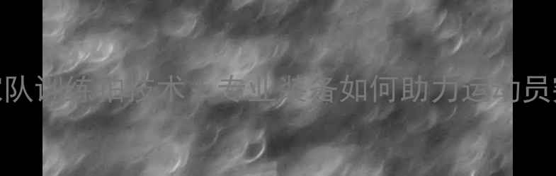 图片 羽毛球国家队训练拍技术：专业装备如何助力运动员突破极限？