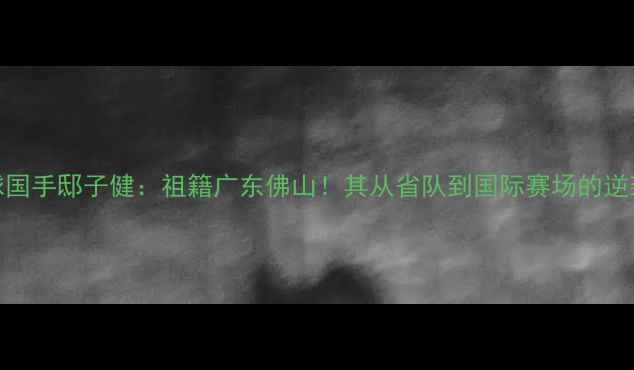 图片 羽毛球国手邸子健：祖籍广东佛山！其从省队到国际赛场的逆袭之路
