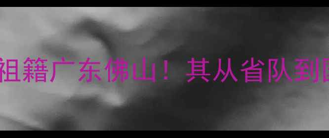 图片 羽毛球国手邸子健：祖籍广东佛山！其从省队到国际赛场的逆袭之路2