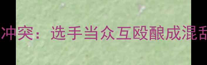 图片 羽毛球国际赛事突发冲突：选手当众互殴酿成混乱，官方如何处理？1