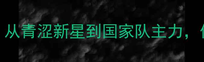 图片 羽毛球国青队张成：从青涩新星到国家队主力，他的成长之路与技术