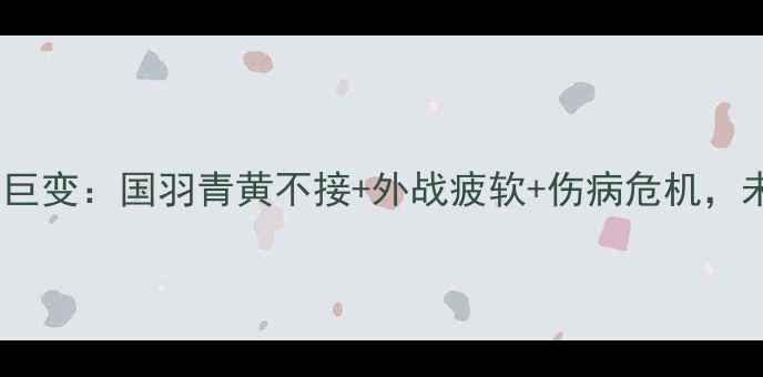 图片 羽毛球女单格局巨变：国羽青黄不接+外战疲软+伤病危机，未来如何破局？2