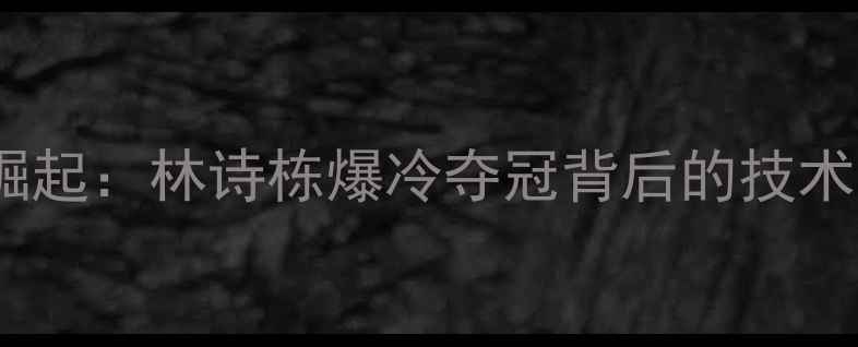 图片 羽毛球女单黑马崛起：林诗栋爆冷夺冠背后的技术革新与心理博弈2