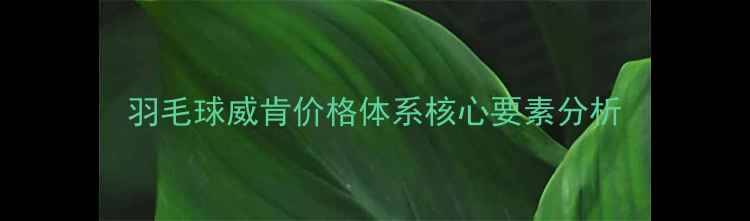 图片 羽毛球威肯价格体系核心要素分析