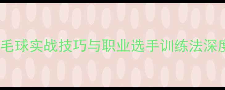 图片 羽毛球实战技巧与职业选手训练法深度2