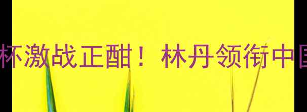 图片 羽毛球年度收官战报：汤姆斯杯苏迪曼杯激战正酣！林丹领衔中国队强势夺冠，李宗伟伤退成最大悬念2