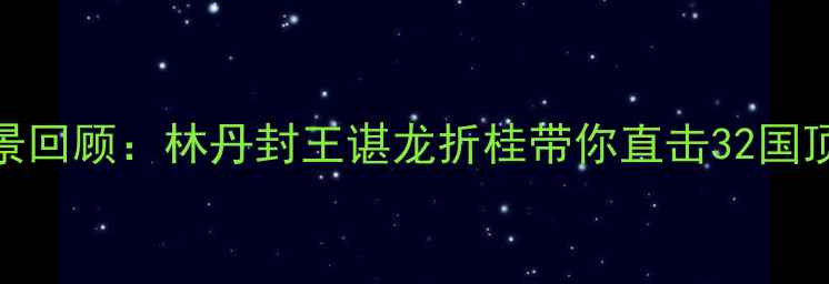 图片 羽毛球年终赛全景回顾：林丹封王谌龙折桂带你直击32国顶尖选手巅峰对决