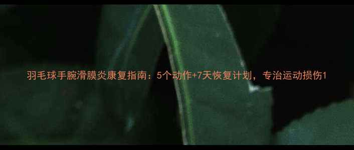 图片 羽毛球手腕滑膜炎康复指南：5个动作+7天恢复计划，专治运动损伤1