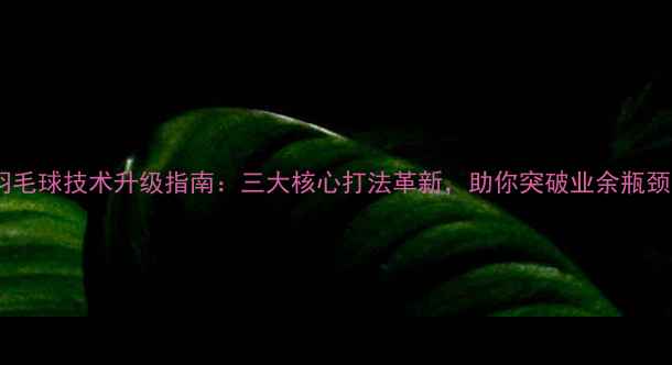 图片 羽毛球技术升级指南：三大核心打法革新，助你突破业余瓶颈1