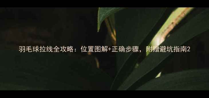 图片 羽毛球拉线全攻略：位置图解+正确步骤，附赠避坑指南2