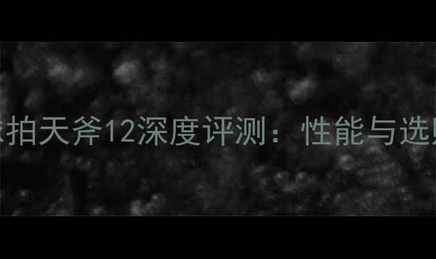 图片 羽毛球拍天斧12深度评测：性能与选购指南