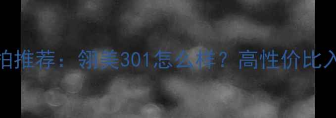 图片 羽毛球拍推荐：翎美301怎么样？高性价比入门首选