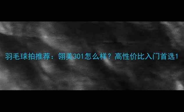 图片 羽毛球拍推荐：翎美301怎么样？高性价比入门首选1