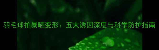 图片 羽毛球拍暴晒变形：五大诱因深度与科学防护指南