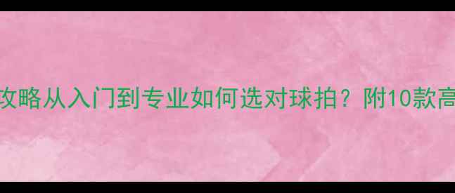 图片 羽毛球拍选购全攻略从入门到专业如何选对球拍？附10款高性价比型号对比