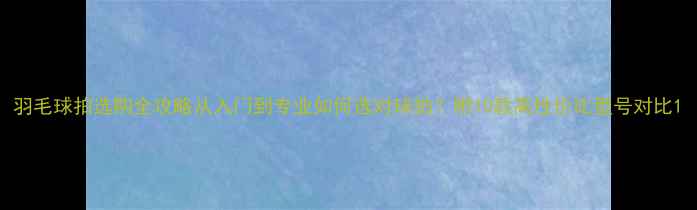 图片 羽毛球拍选购全攻略从入门到专业如何选对球拍？附10款高性价比型号对比1