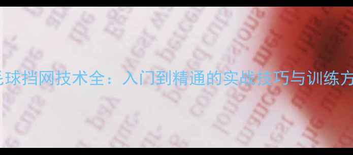 图片 羽毛球挡网技术全：入门到精通的实战技巧与训练方法1