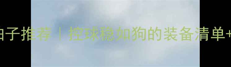 图片 羽毛球控制型拍子推荐｜控球稳如狗的装备清单+选购避坑指南2