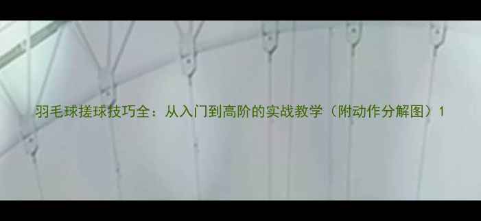 图片 羽毛球搓球技巧全：从入门到高阶的实战教学（附动作分解图）1