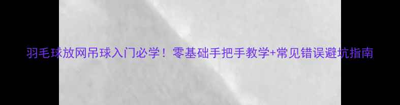 图片 羽毛球放网吊球入门必学！零基础手把手教学+常见错误避坑指南