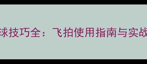 图片 羽毛球救球技巧全：飞拍使用指南与实战训练方案