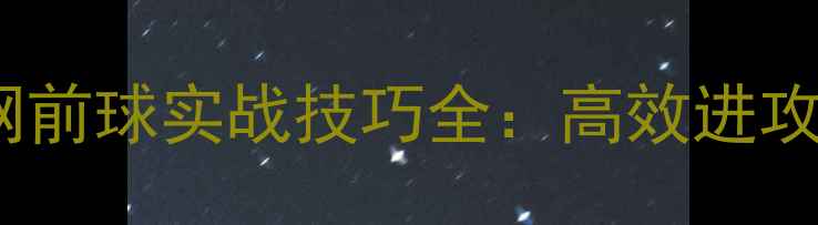 图片 羽毛球斜线网前球实战技巧全：高效进攻与防守策略1