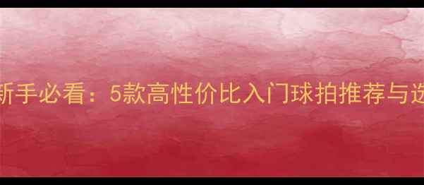 图片 羽毛球新手必看：5款高性价比入门球拍推荐与选购指南