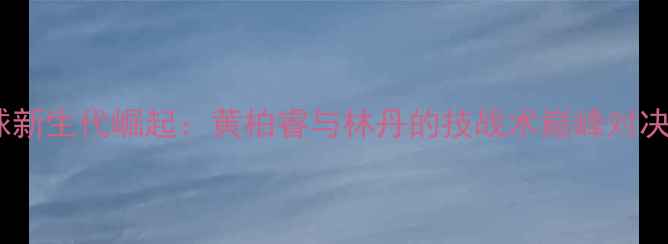 图片 羽毛球新生代崛起：黄柏睿与林丹的技战术巅峰对决深度1