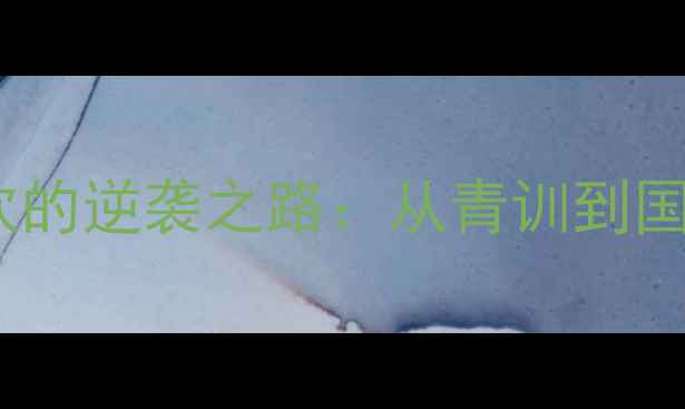 图片 羽毛球新锐崛起！辽宁高欢的逆袭之路：从青训到国赛的成长密码与未来展望2