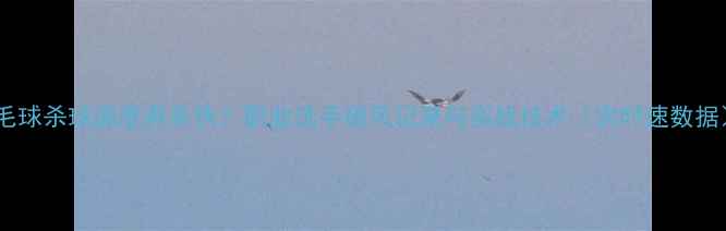 图片 羽毛球杀球速度有多快？职业选手破风记录与实战技术（含时速数据）2