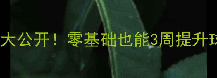 图片 羽毛球步伐技巧大公开！零基础也能3周提升球技的关键步骤1