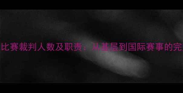 图片 羽毛球比赛裁判人数及职责：从基层到国际赛事的完整指南